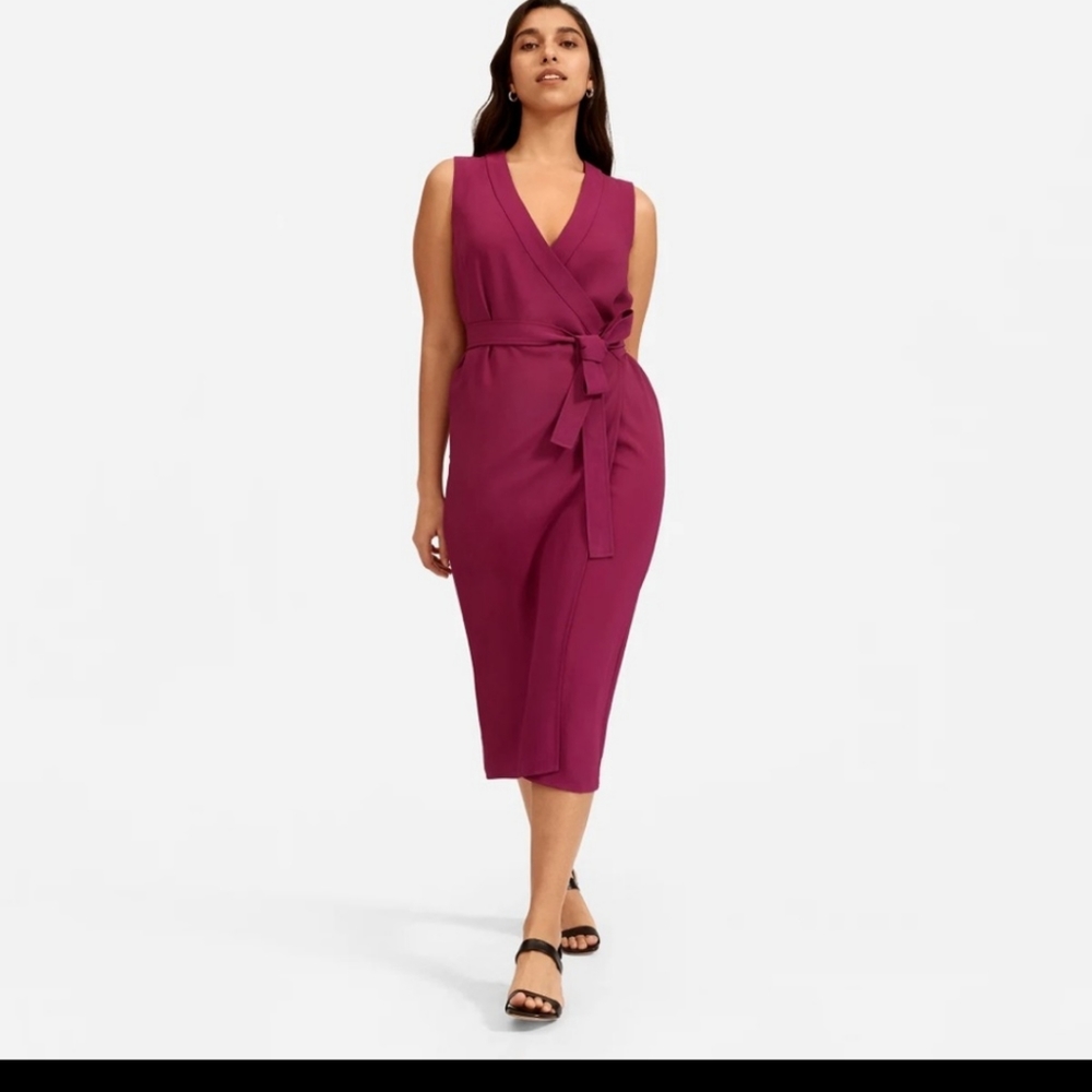 Everlane Japanese Goweave Midi Dress